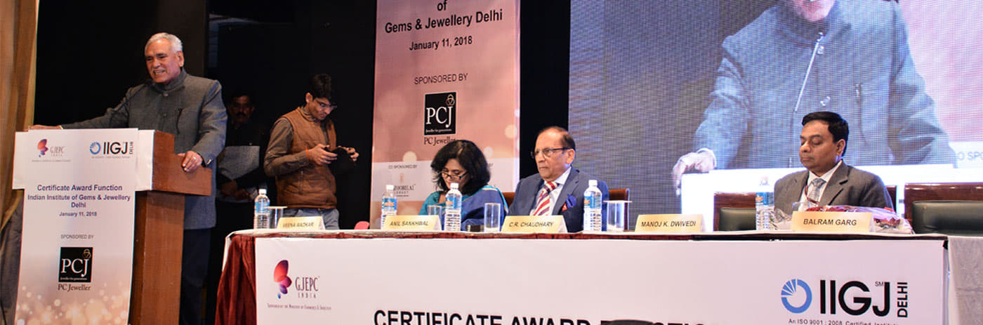 Indian Institute Of Gems & Jewellery New Delhi Campus photo 5